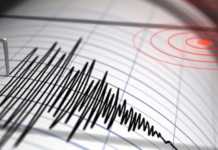 საქართველოში მიწისძვრა მოხდა