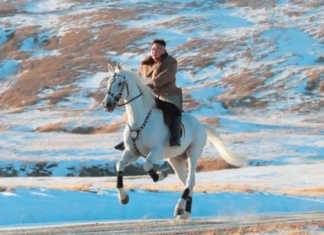 თუ ვინმე ჩვენ ინტერესებს ხელს შეუშლის, ბირთვული იარაღის გამოყენების გარდა სხვა გზა არ გვექნება – კიმ ჩენ ინი