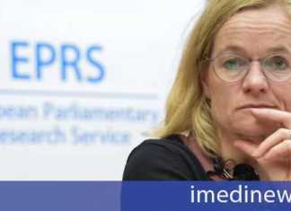 დავით ქართველიშვილი: ვიოლა ფონ კრამონი მავნებელია…