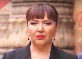 ,,ფხუკ, მელიამ კიევში ვიზიტი დაგვიმალა… უკიდურესად დიდი შეცდომა დაუშვით” – ინგა გრიგოლია