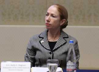 დეგნანი: საქართველო არ უნდა გახდეს სანქციების თავიდან არიდების ადგილი