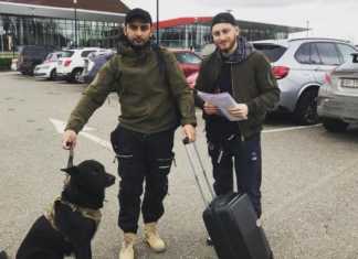 „დედას მეტი შვილი არ ჰყავს, განადგურებულები არიან მშობლები, ბღავიან…“ – ყველა დეტალი ესპანეთში ხანძარს შეწირული ქართველი ძმების შესახებ