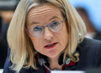 “ქართული ოცნების დეზინფორმაცია კრემლის დონეს აღწევს” – ფონ კრამონი