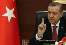 ერდოღანი მსოფლიო ლიდერებს მოუწოდებს, ვლადიმირ პუტინს დაელაპარაკონ