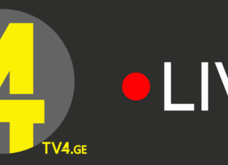 ქვემო ქართლის ტელევიზია TV4 ალტინფოს 5 საათს დაუთმობს