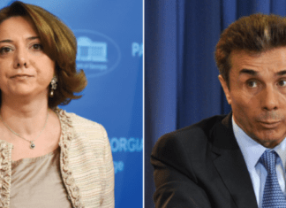 “ბიძინას ეშინია…სიცრუის და სიძულვილის პარტია, “ქართული ოცნება” შიშით ელოდება…” – სალომე სამადაშვილი