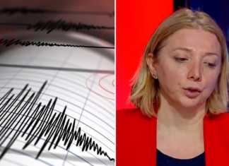 თეა გოდოლაძე გახშირებულ მიწისძვრებთან დაკავშირებით საგანგებო განცხადებას აკეთებს