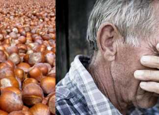 ხალხის მტრად ქცეული ქვეყანა – “ამ ქვეყანას სძულს და ეზიზღება საკუთარი ხალხი. ეს ქვეყანა არ არის- ეს იმედების სასაფლაოა!!!”