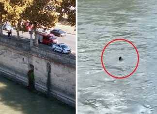 “გარდაიცვალა ქალი რომელიც მტკვარში ჩავარდა, ექიმებმა თქვეს რომ…” – სამწუხარო ინფორმაცია ახლახანს გავრცელდა