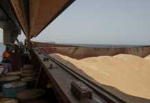 უკრაინა და თურქეთი უკრაინული მარცვლეულის ექსპორტის გახანგრძლივების ინიციატივაზე თანხმდებიან