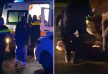 ”საშინელება ტრიალებს, ახალგაზრდა გოგოები და ბიჭები სულ დაგლეჯილები იყვნენ…” – ვიდეო