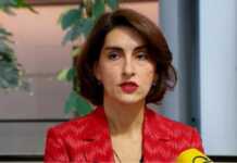 მაკა ბოჭორიშვილი: საქართველოს, უკრაინასთან და მოლდოვასთან ერთად, ევროკავშირში გაწევრიანების პერსპექტივა აქვს