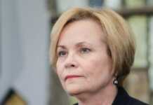 იუკნევიჩიენე გვარამიაზე: ასეთი ქმედებები ეწინააღმდეგება ქართველი ხალხის ნებას