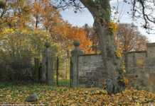 თუ ამ ფოტოზე შიშველ ქალს იპოვით, იცოდეთ, რომ თქვენი IQ საშუალოზე მაღალია