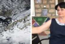 გაირკვა დაღუპულის ვინაობა – მგზავრებით სავსე მანქანა ახლახანს თოვლში მოცურდა და ხევში გადაიჩეხა