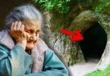 (ვიდეო) ის საკუთარმა შვილებმა გააგდეს სახლიდან,მალე მღვიმეში ისეთი რამ იპოვეს რამაც გააოგნა ყველა…