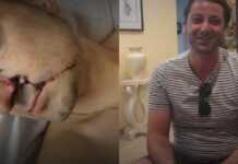 სისხლიანი დაპირსპირება ბათუმის ცენტრში- მეუფე დიმიტრის სიძემ ახალგაზრდა მამაკაცი დანით აჩეხა