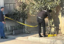 თელავში, 30 წლამდე ქალი გარდაცვლილი აბაზანაში იპოვეს – რამ გამოიწვია ტრაგედია?!