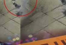 თავდამსხმელმა თავი მოიკლა – რა ინფორმაცია ვრცელდება საგარეჯოდან