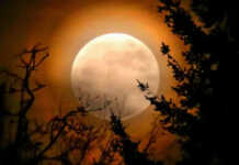 როგორ უნდა მოვიზიდოთ იღბალი 7 იანვარს და რა უნდა დავდოთ ფანჯრის რაფაზე სავსემთვარეობისას