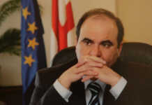 “ცხედარს რბილ ქსოვილზე აღენიშნებოდა დაჟეჟილობა” – ბურუსით მოცული სიკვდილი, იდუმალი ჩანთა და პარიკი ჟვანიას საქმეში