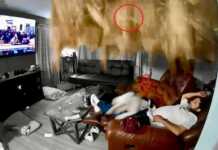 შოკისმომგვრელი ვიდეო: მამაკაცი წამოწოლილი ტელევიზორს უყურებდა, რა დროსაც ჭერის ნაწილი ჩამოინგრა…ძაღლმა გაქცევა მოახერხა