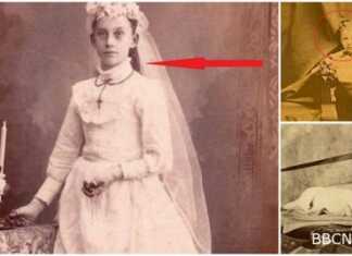 სიმართლე, რომელიც ამ ფოტოების უკან იმალება, შოკისმომგვრელია. თუკი სუსტი ნერვები გაქვთ, თავი შეიკავეთ მათი ნახვისგან