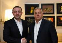 “უნგრეთმა დაბლოკა ევროკავშირის ინიციატივა დიპლომატიური პროტესტით მოეთხოვა სააკაშვილისთვის პატიმრობის ვადის შეჩერება” – მაია ელოშვილი