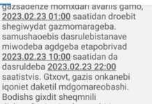 “რა ეწყინათ, ვერ გავიგე: კუპონას გაეტირნენ თუ დედა გიულის “მსუყე მენიუ” ვერ გადაიტანეს? მე-9 ბლოკი სანატრელი გამიხდა…”