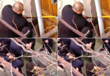 გიგაურების ოჯახის გამოსახლების ფაქტზე სპეციალურმა საგამოძიებო სამსახურმა გამოძიება დაიწყო