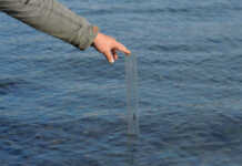 თურქეთის მიწისძვრის შემდეგ, ხმელთაშუა ზღვა უკან იხევს – რას მოასწავებს წყლის გამეჩხერება?