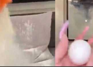 (ვიდეო) ბინის ქართველ მეპატრონეზე გაბრაზებული რუსეთის მოქალაქე ფქვილით და კვერცხებით საშინელებას აკეთებს ბინაში