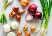 იცოდით, რომ ხახვს ძალიან დიდი ზიანი მოაქვს? – ეს ყველამ უნდა იცოდეს!