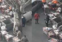 (ვიდეო) ნახევარი საქართველო მშიერია კარფური ნაგავში ყრის!!!- რა ვიდეოს აქვეყნებს ჟურნალისტი