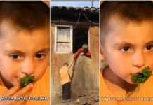 ?”საჭმელი არ გვაქვს მწვანილს ვჭამთ”- სულისშემძვრელი კადრები ქართული სოფლიდან