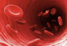 მეცნიერებმა დაადგინეს, რომელი სისხლის ჯგუფის მფლობელები ცოცხლობენ ყველაზე დიდხანს