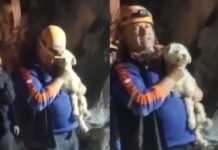 სასაწაული თურქეთში – მიწისძვრიდან 25-ე დღეს ნანგრევებიდან ძაღლი ამოიყვანეს (ემოციური ვიდეო)