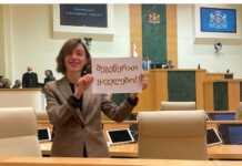 VIDEO: “შეგეწერათ ყაველებო” – ანი წითლიძე კანონის გაწვევის შემდეგ “ოცნება-ხალხის ძალას” აქილიკებს