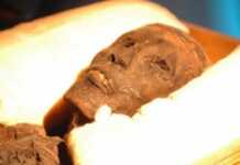 90 მუმიაზე ჩატარებულმა დნმ-ის ანალიზმა გერმანელი მეცნიერები შოკში ჩააგდო