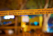 მარტვილის მუნიციპალიტეტში შვილმა დედა ნაჯახით მოკლა