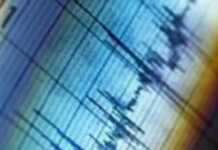 საქართველოში მიწისძვრა მოხდა – დეტალები