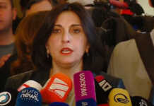 პარლამენტში ფორმდება საქართველოს გასაბჭოება – თამარ კორძაია