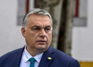 რა?! – ასე გამოეხმაურა ვიქტორ ორბანი იენს სტოლტენბერგის განცხადებას, რომ უკრაინის ადგილი ნატო-შია