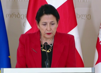 ვის წაყვანას აპირებდა სალომე ზურაბიშვილი სტრასბურგში და რატომ გადაიდო მისი გამოსვლა ევროპარლამენტში