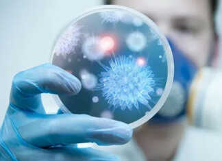 რუსეთში ახალი ჰასეკის ვირუსი აღმოაჩინეს