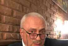 თურქეთი არასდროს არ იქნება საქართველოს სტრატეგიული მეგობარი და მოკავშირე- მამუკა კარტოზია