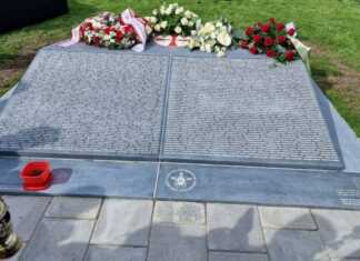 ილია მეორე: 75 წლის შემდეგაც ძნელია, პირუთვნელი შეფასება მიეცეს კუნძულ ტექსელზე მაშინდელ მოვლენებს; ფაქტი კი ერთია, ძალადობა, უსამართლო ომი, სისხლისღვრა ადრეც და ახლაც, მრავალ უდანაშაულო ადამიანს იწირავდა და იწირავს