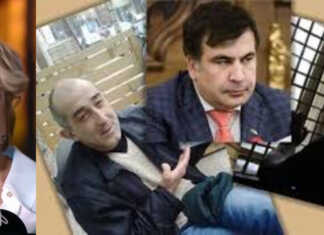 ლაშა ამირეჯიბი გიული ალასანიას მიმართავს