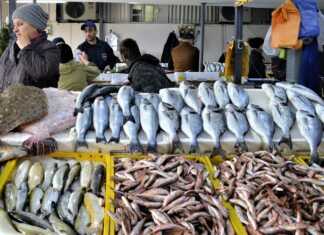 „სიძველის დასამალად თევზს თვალებს თხრიან“ – რა უნდა იცოდეთ, სანამ ქუჩაში თევზს იყიდით