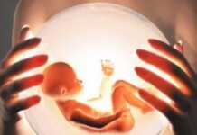 “მაშინ მირჩიეს, მაგ თემაზე პოსტიც კი არ დაწერო, არ მიგასიკვდილონ, ეგ საქმეები იმხელა “კრიშით” კეთდებაო…გესმით, რა ცოდვის კალო ტრიალებს?!”